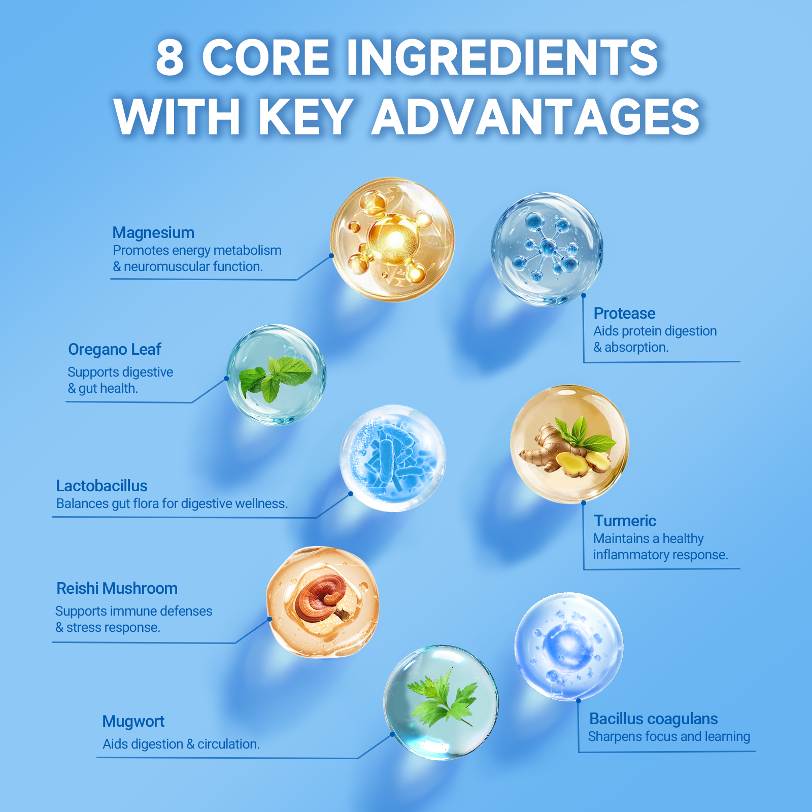 Gut Health & Microbiome Support - Internal Balance Formula